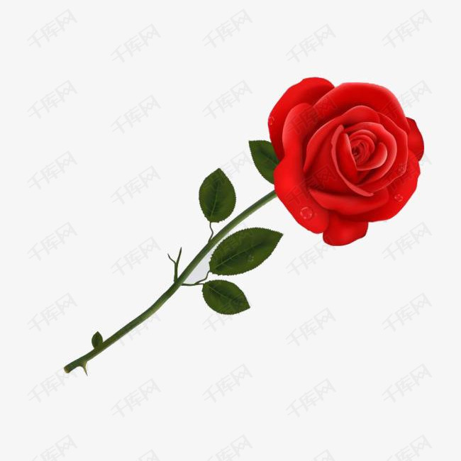 红色的玫瑰花的素材免抠玫瑰花红色花朵png素材