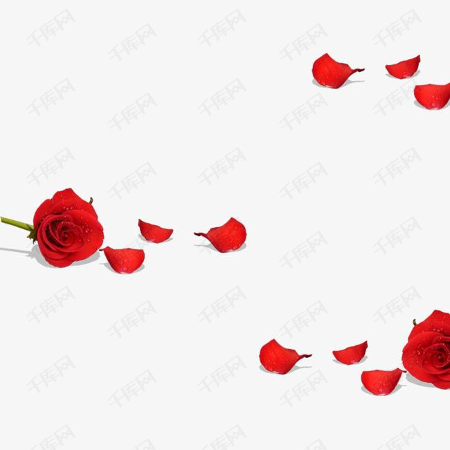 散落的玫瑰花瓣素材图片免费下载_高清图片png_千库网