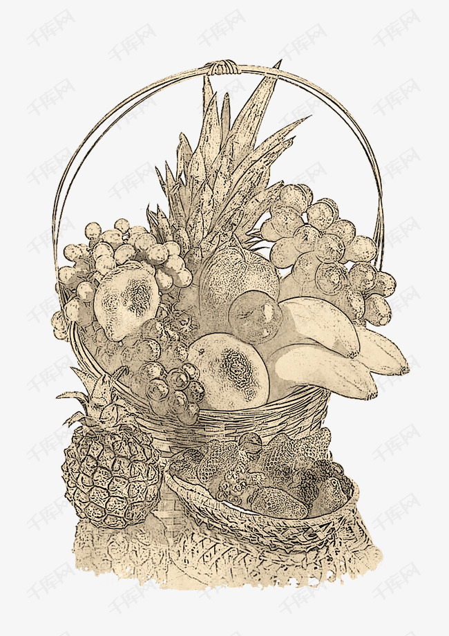 手绘素描线稿水果果篮
