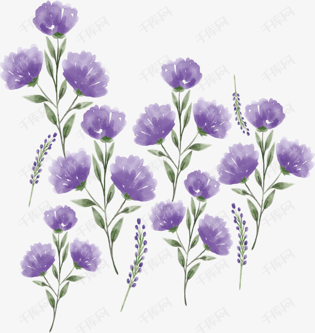 手绘水彩紫色花朵