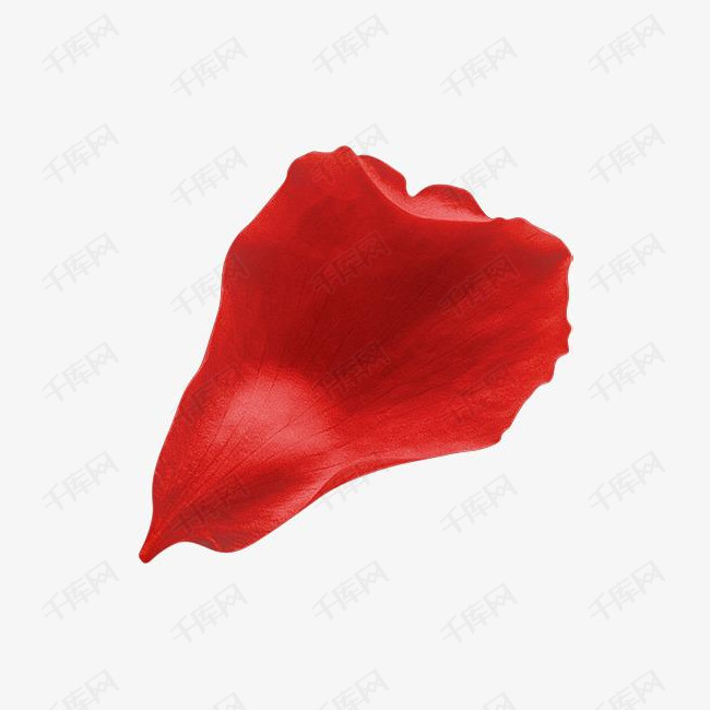 红色花瓣装饰图案
