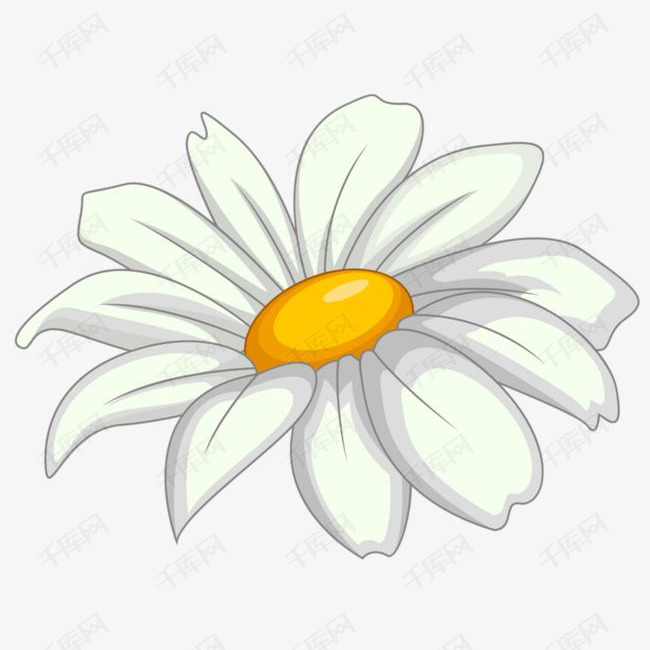 白色花朵的素材免抠花瓣植物白色白花