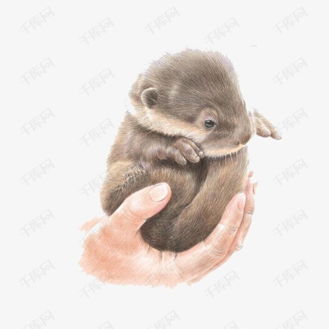 彩铅动物素材图片免费下载_高清卡通手绘png