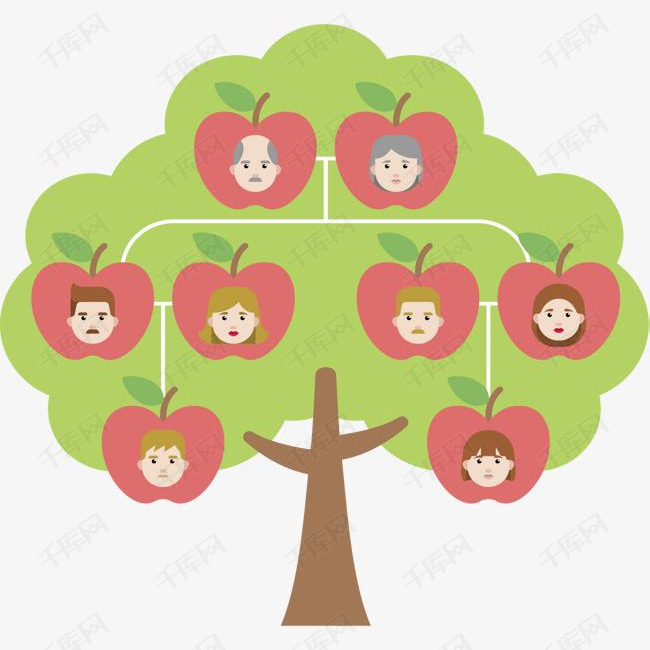 苹果树家庭树