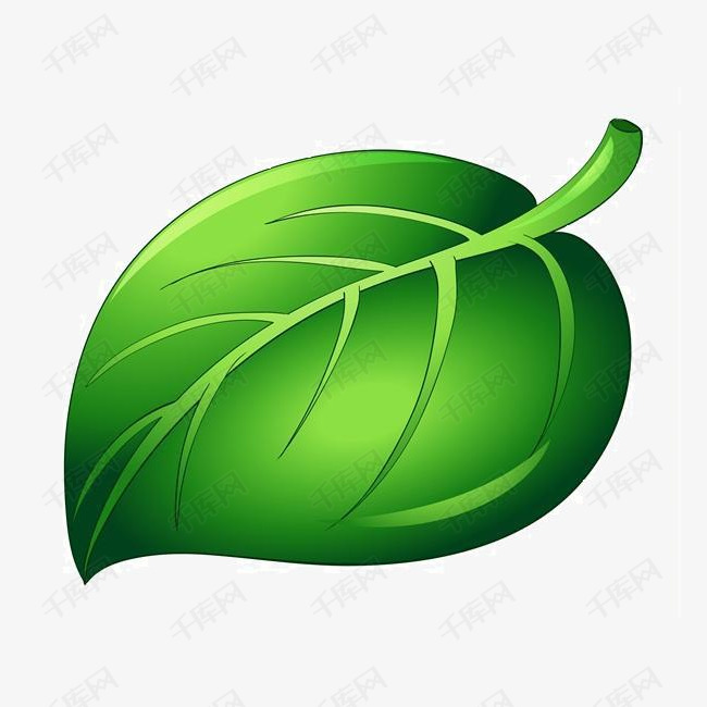 卡通树叶素材图片免费下载_高清图片png_千库网(图片