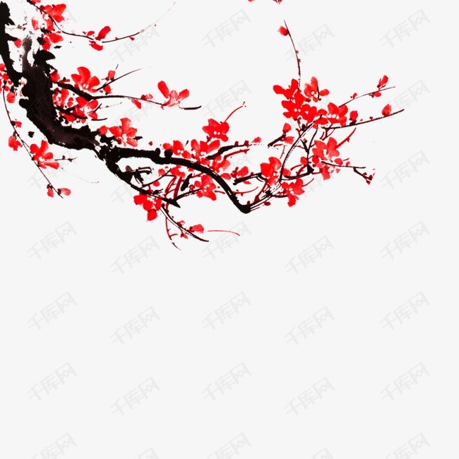 梅花的素材免抠
