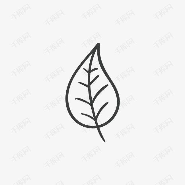 一片叶子的素材免抠黑色线条素描简笔一片桔梗