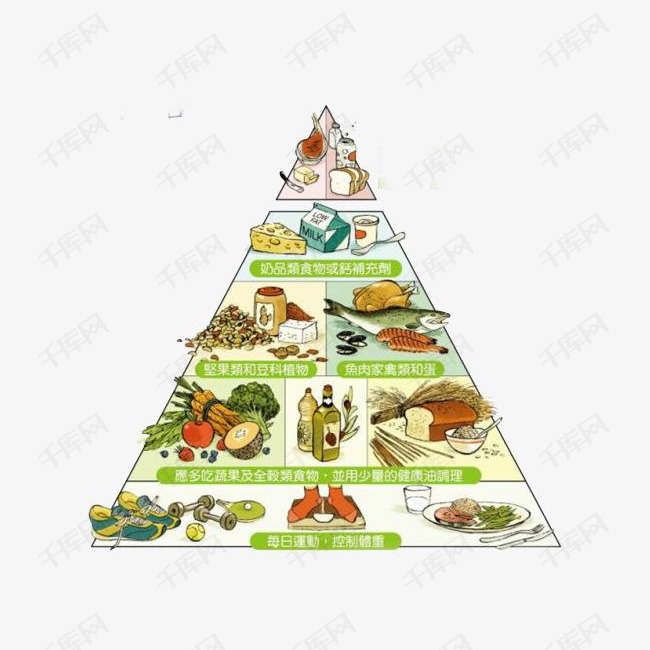 每日食物金字塔