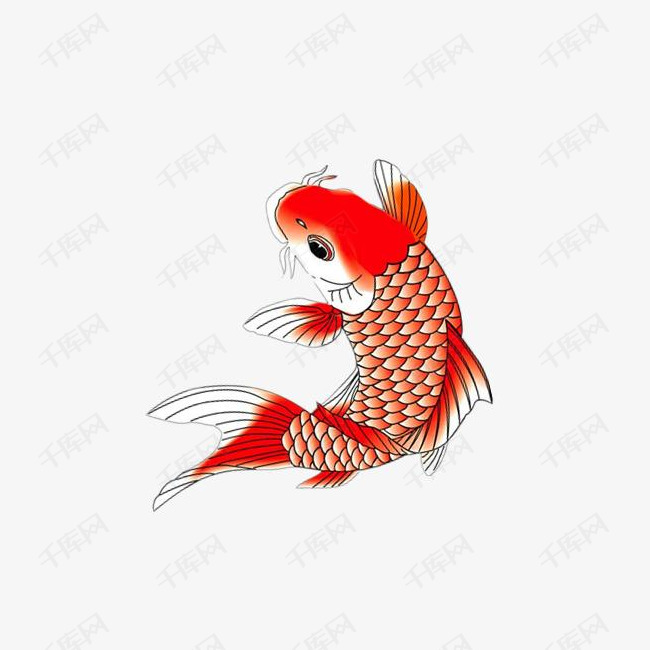飞翔的鲤鱼的素材免抠美丽红色吉祥卡通