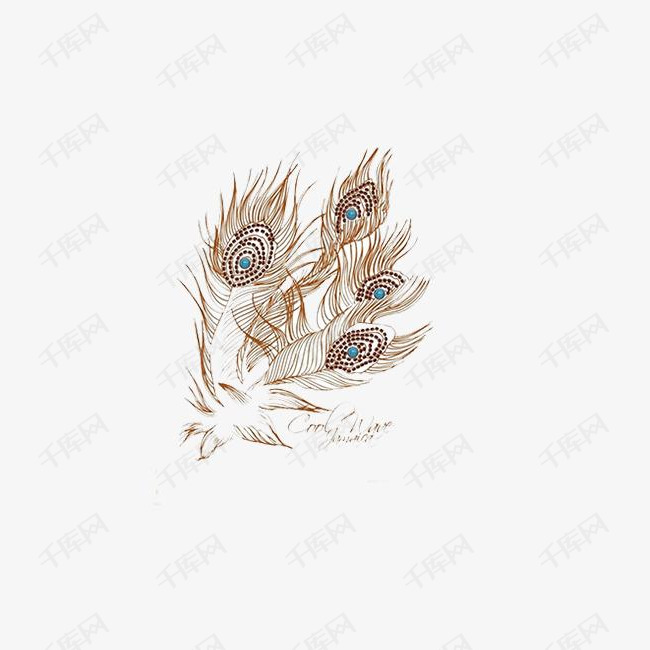 凤凰羽毛素材图片免费下载_高清png