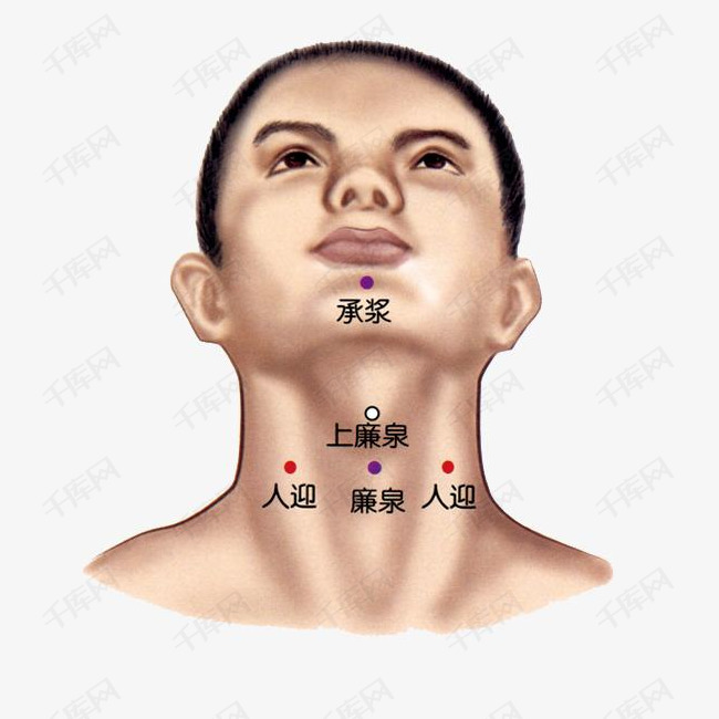 人体正面脖子下巴穴位