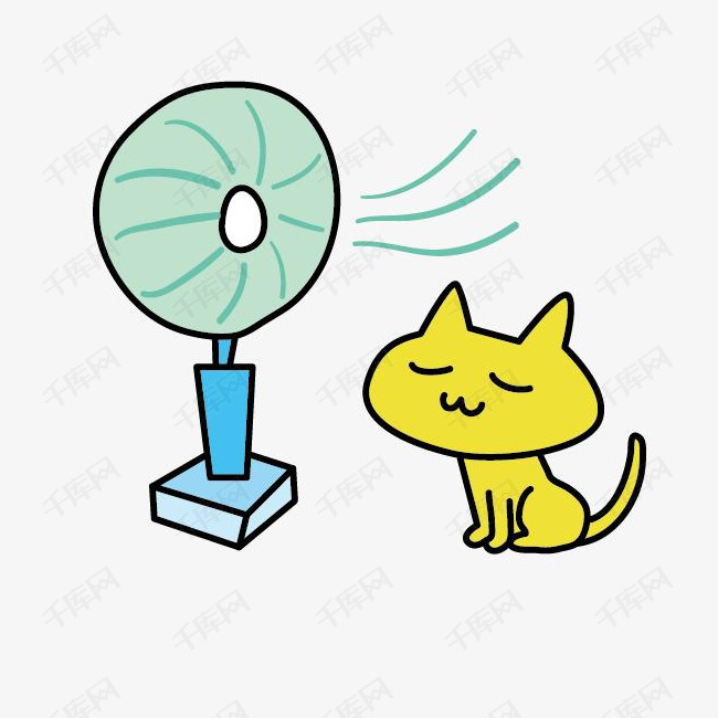 吹风扇的猫
