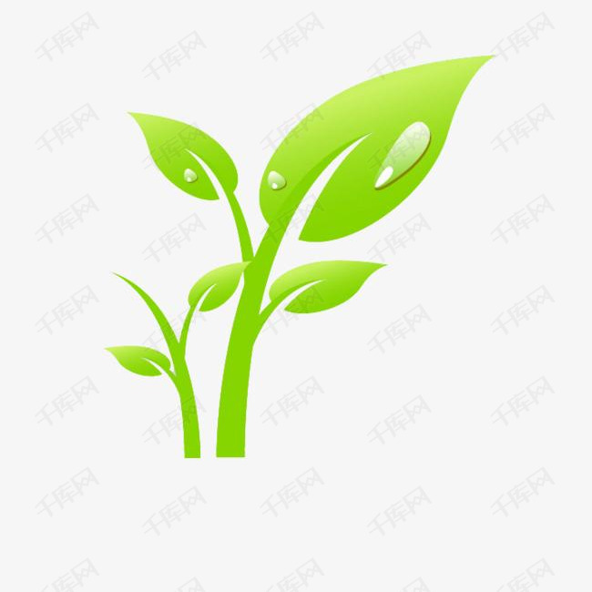 雨露下的小绿芽