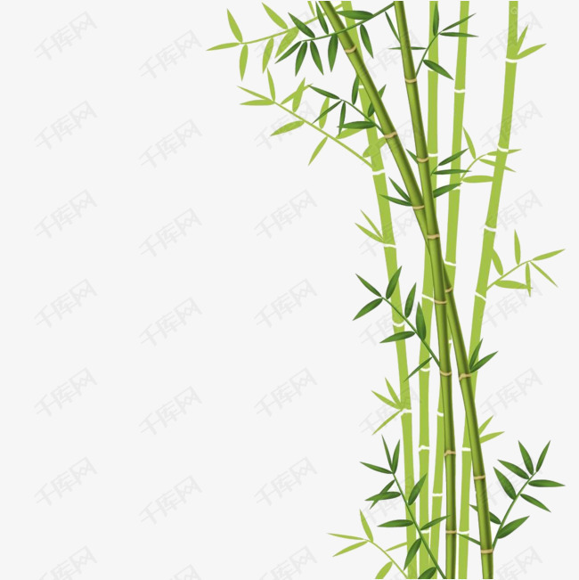 竹子插画素材图片免费下载_高清png_千库网(图片编号