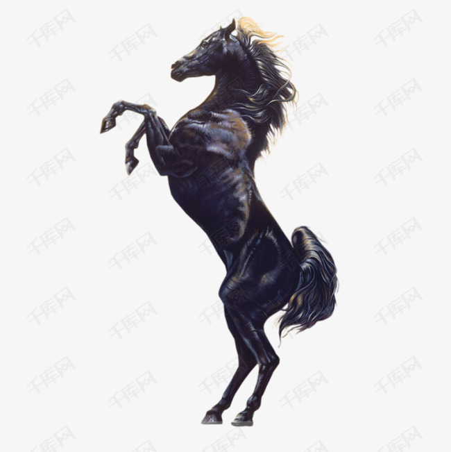 站起来的马的素材免抠马动物骏马矢量矢量图装饰