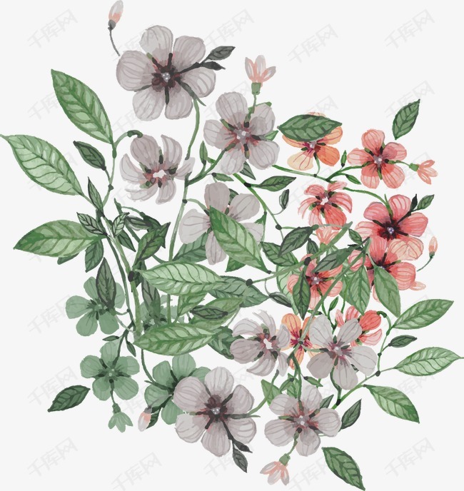 插画花卉的素材免抠浪漫复古手绘花环花边