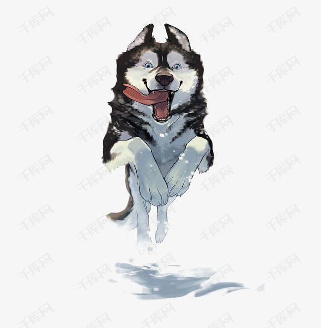 水彩哈士奇