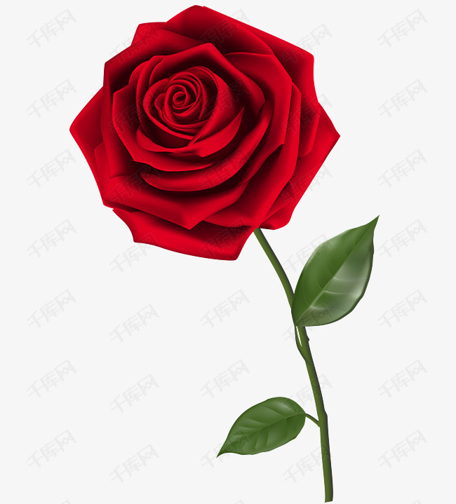 一朵红色的玫瑰花的素材免抠玫瑰花绿叶花朵花朵装饰手绘花朵花卉