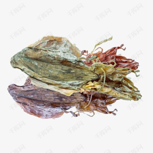 发霉的鱿鱼干