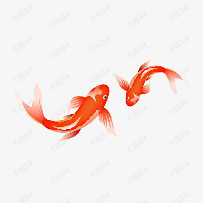 卡通手绘金色的鱼的素材免抠两条鱼金色的鱼游泳的鱼免抠鱼卡通鱼彩色