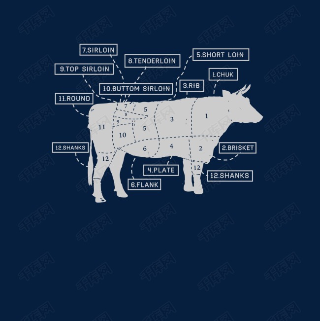 牛身体分解矢量图