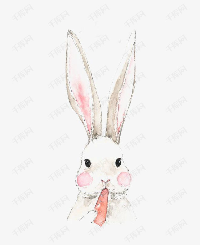 长耳朵兔子