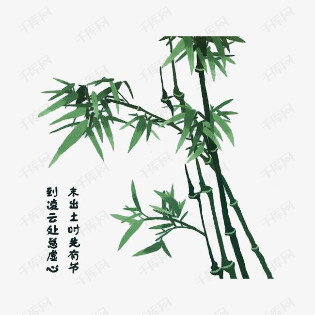 水墨竹子的素材免抠高洁笔直绿色中国画
