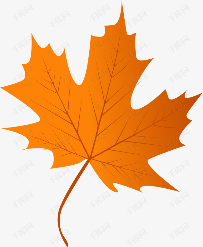 橙色清新枫叶的素材免抠橙色枫叶树叶叶子装饰图案植物秋季