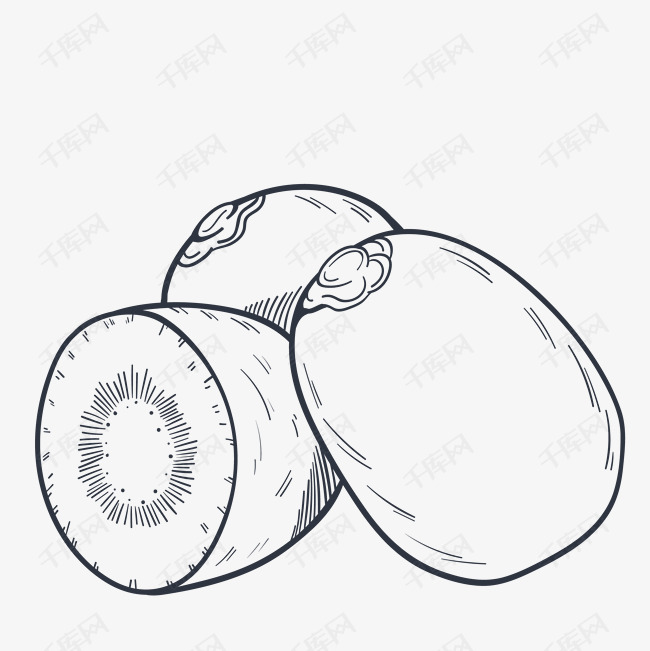 水果猕猴桃素描png