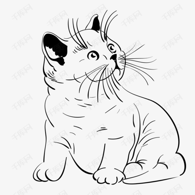 简笔猫咪