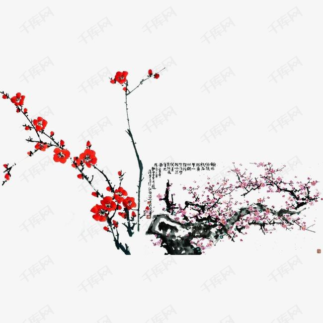 水墨梅花的素材免抠梅花腊梅古风梅传统