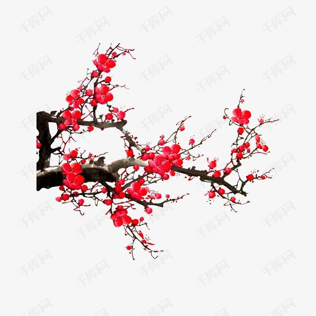 梅花的素材免抠