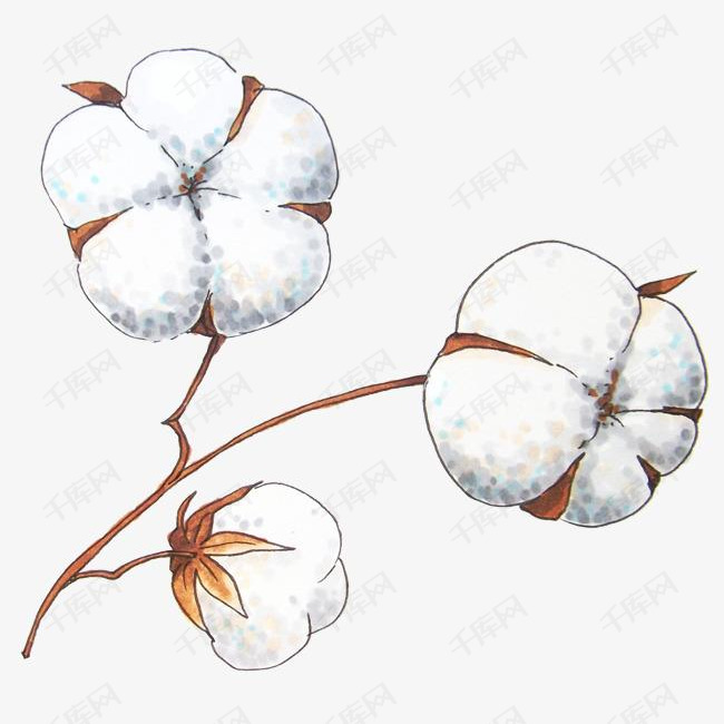 卡通木棉花