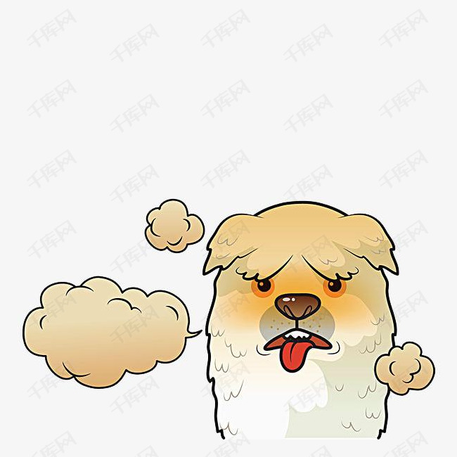 大口喘气的黄色狗狗