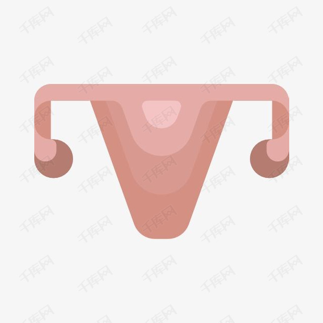 卵巢素材图片免费下载_高清卡通手绘psd