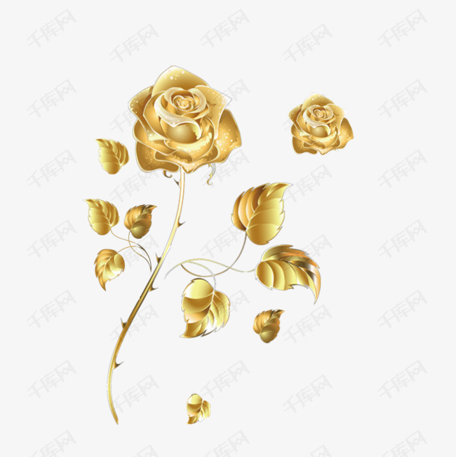 金色玫瑰花