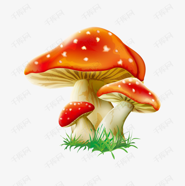 可爱卡通蘑菇