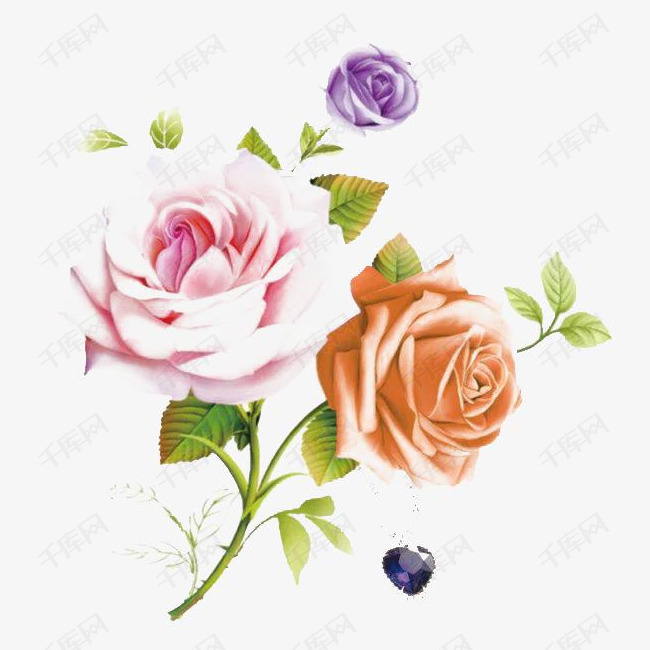 千库网提供两朵鲜艳玫瑰花矢量