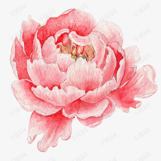 的牡丹花的素材免抠卡通手绘创意精美动漫动画美丽的花朵粉色的牡丹花