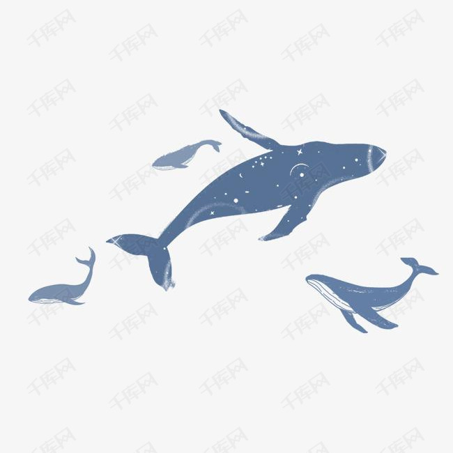 手绘梦幻海洋装饰插图海豚鲸鱼插画