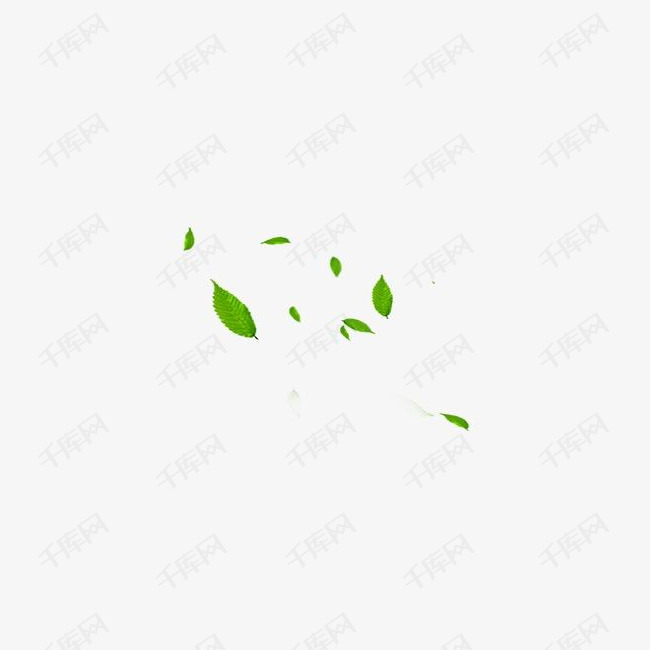 树叶的素材免抠