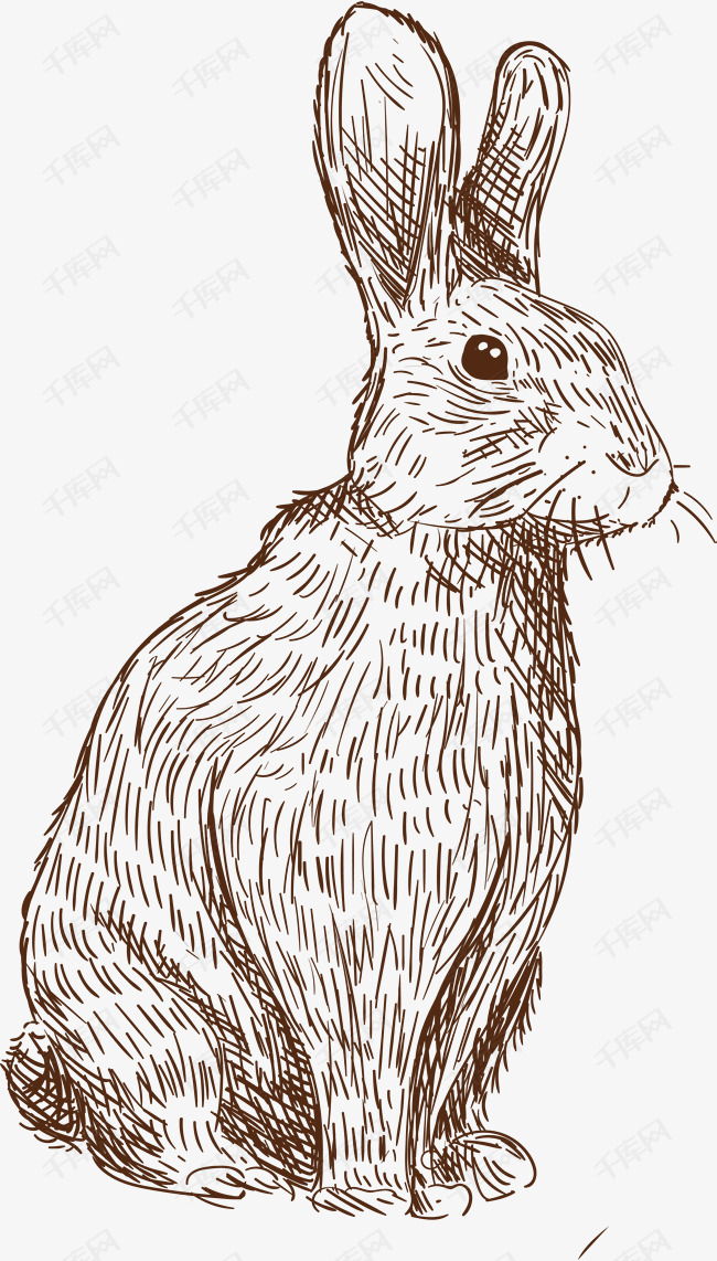 手绘兔子设计
