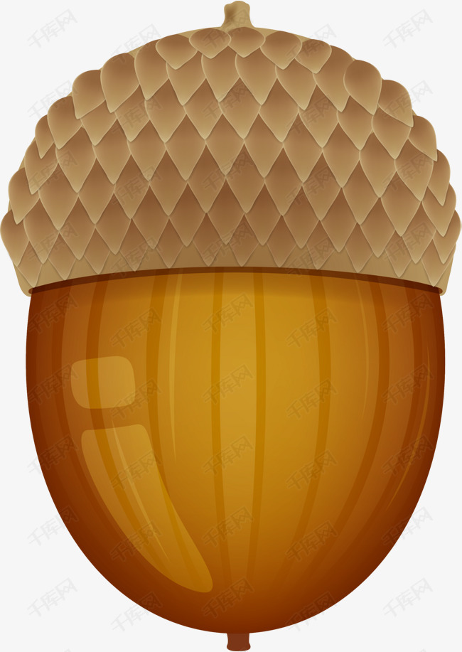 咖啡色卡通松果