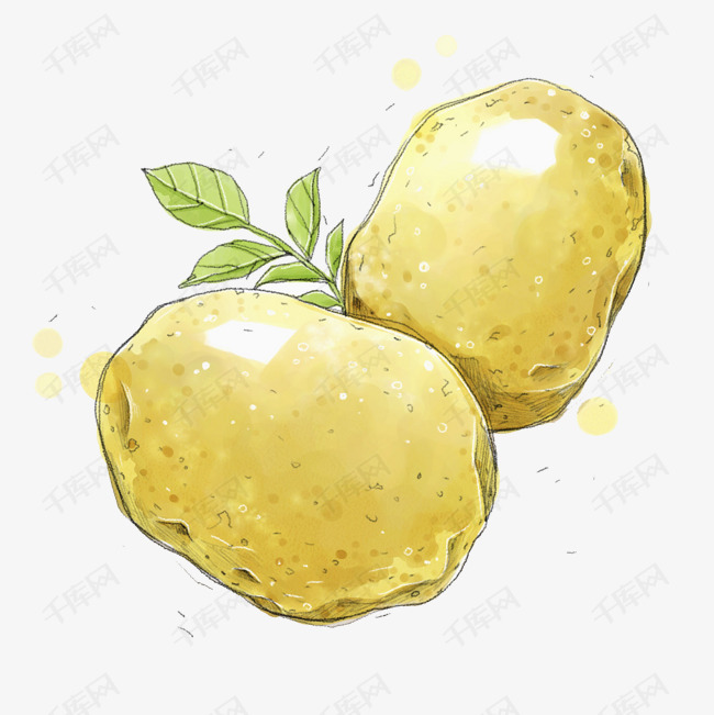 手绘简笔土豆的素材免抠土豆马铃薯简笔唯美蔬菜简约