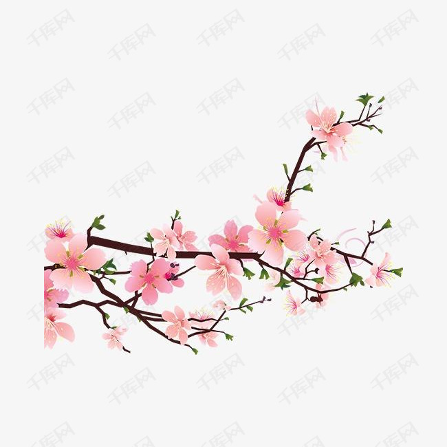 桃花的素材免抠桃花花朵
