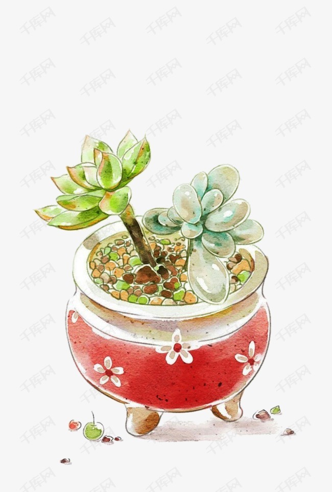 多肉小花盆可爱 7f73d489809c87a4d40254ef9eb488d6.jpg