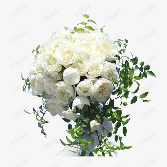 一束美丽的玫瑰花儿的素材免抠美丽的玫瑰白玫瑰玫瑰花花白色花白色