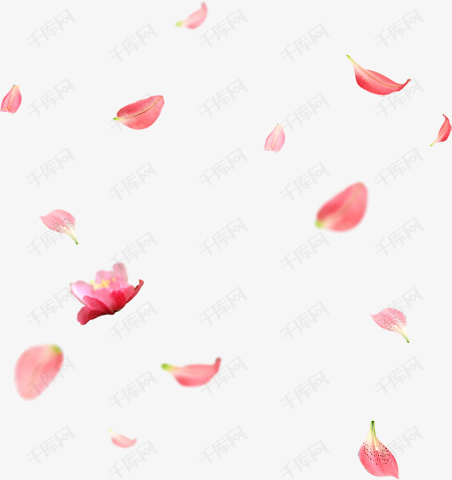免扣桃花桃花飘素材图片免费下载_高清psd_千库网