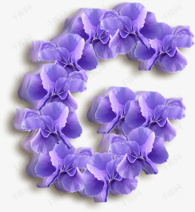 漂亮紫色花朵