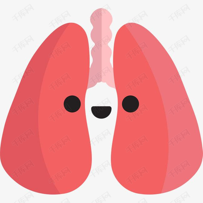 卡通可爱肺部健康